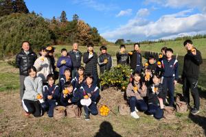 ミカン収穫の様子④