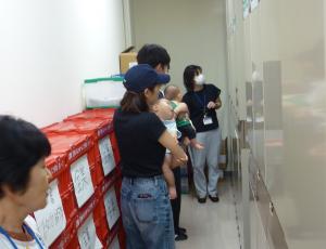 へいかしょこけんがく