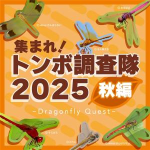 トンボ調査隊画像