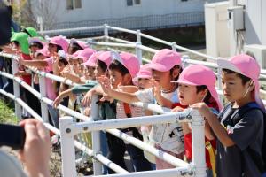 駒ケ嶺駅で電車を見る子ども達