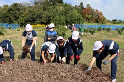 藁の山から運び出す児童たち