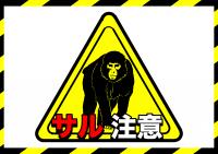 サル注意