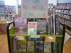 てんじしゃしん