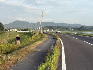道路の除草状況写真