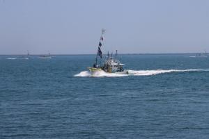 遊海しんち漁船パレード